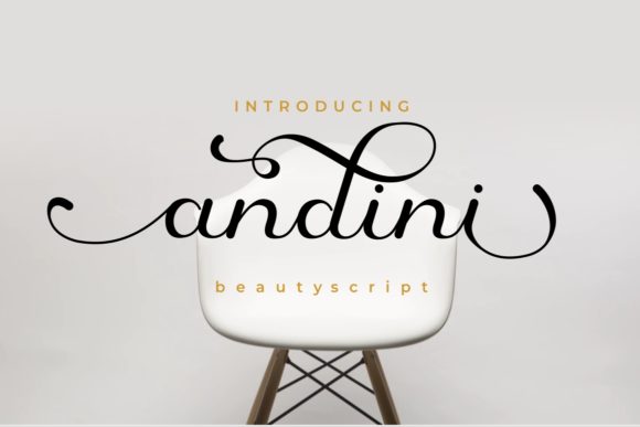Andini: A Designer’s Honest Review for Real Branding Work