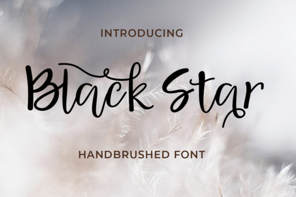Black Star: The Handwritten Font for Bold Branding