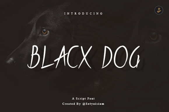 Blacx Dog: A Versatile Script Font for Editorial Design