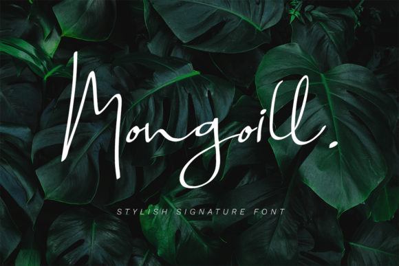 Mongoill: A Designer’s Take on Modern Script Charm