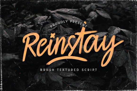 Reinstay Font: Elevating Web Headlines